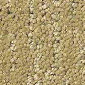 Gold Carpet Flooring - Floor Coverings International North Dallas